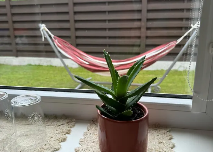 בית הארחה Rock